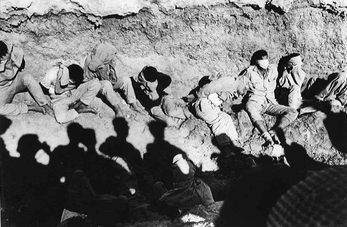 عکس از میچا بار آم